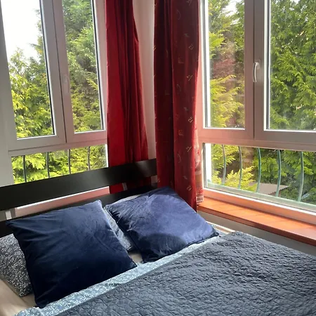 Clochard Hotel 3*